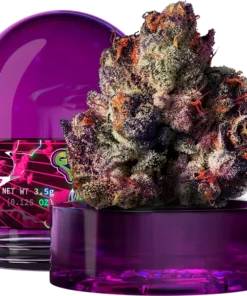 Rainbow Gelato Wizard Trees