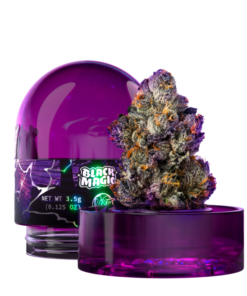 Wizard Trees: Black Magic