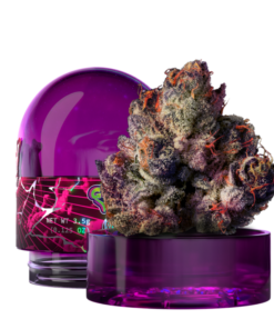 Wizard Trees New Yorker