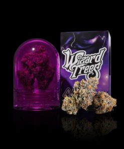 Wizard Trees: ZANGRIA